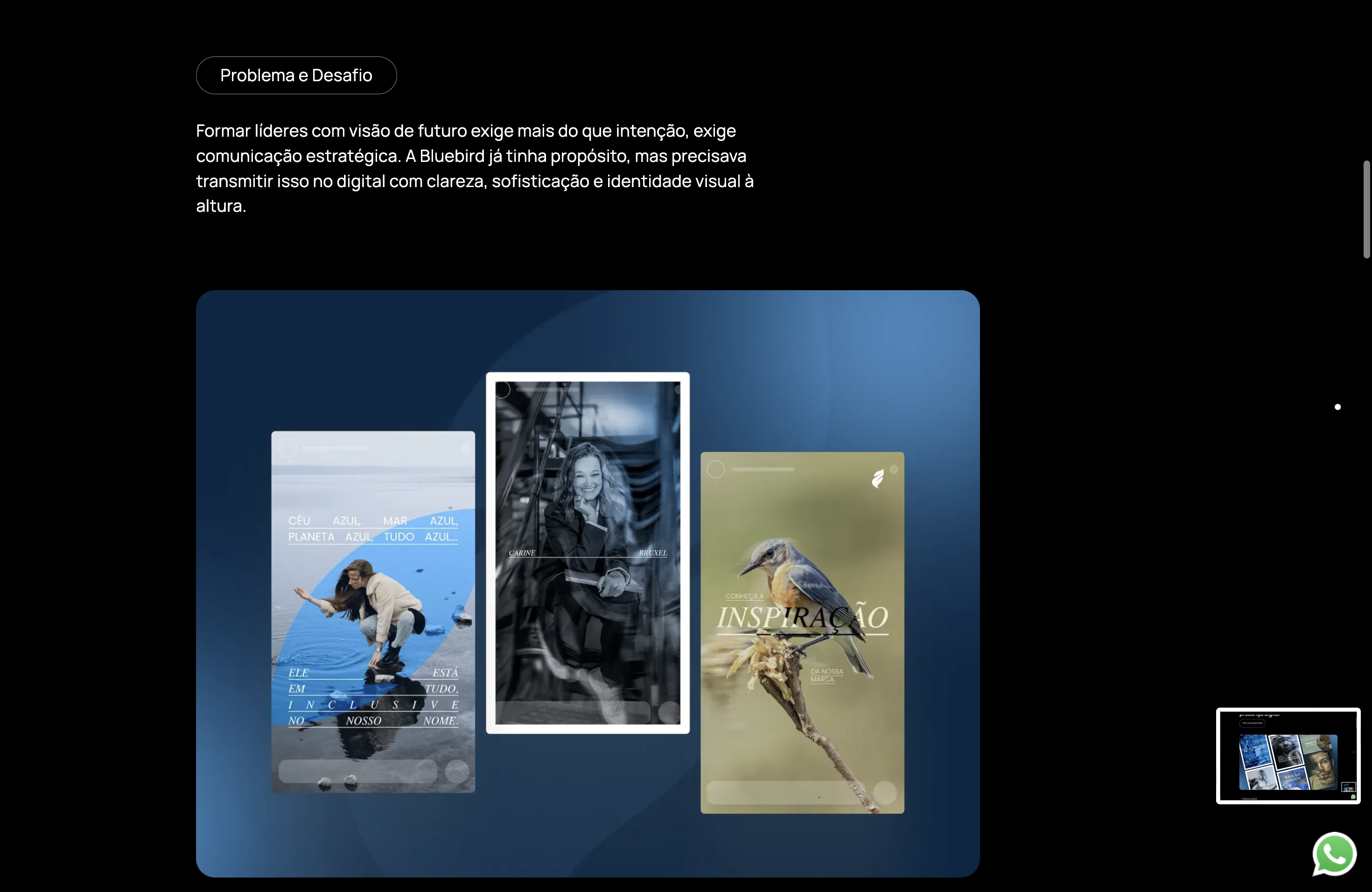 Stories criados pela Alpina para a Bluebird